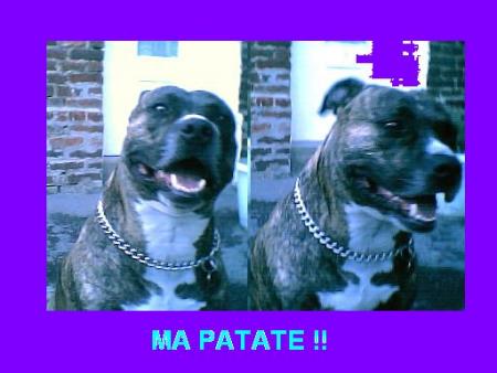 mon grosss